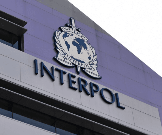 Cybercriminalité: Interpol frappe 10 909 réseaux malveillants